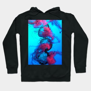 Pink Jellyfish Hoodie